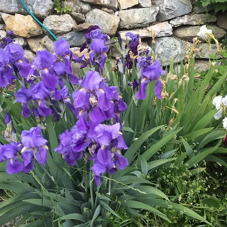 Sentferienwohnung セント