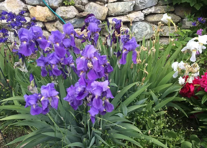 Sentferienwohnung Зент